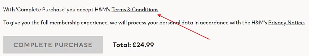 H and M checkout screen with Accept Terms and Conditions highlighted