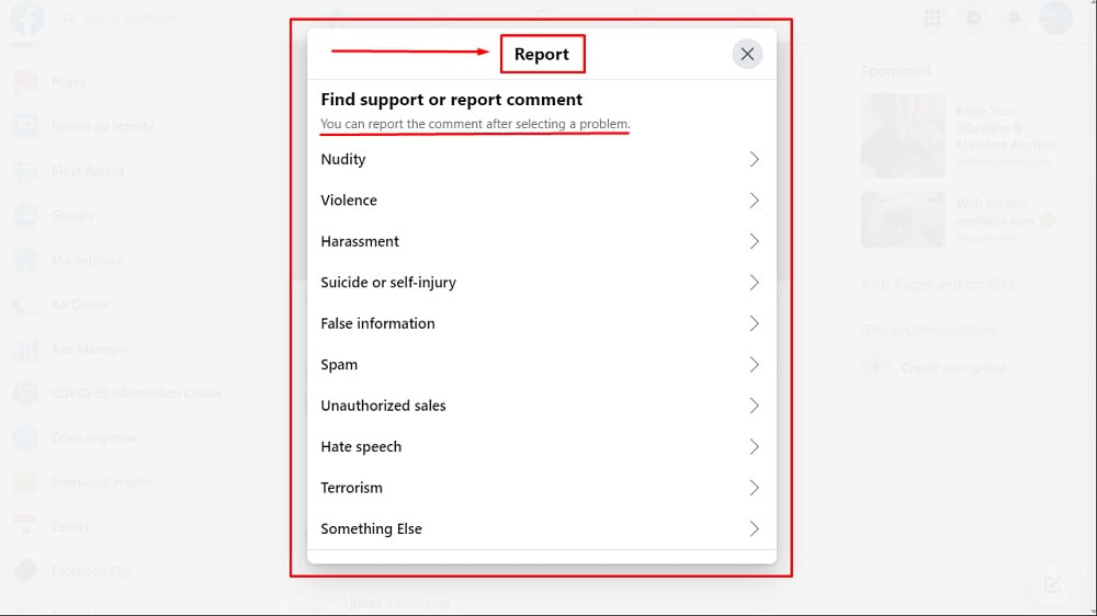 Facebook Comment Example - Report comment form options highlighted