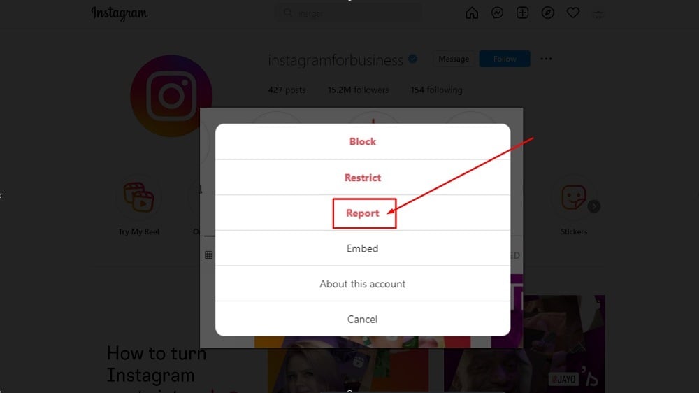 Instagram Example - Account options menu - Report option selected