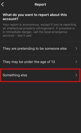 Instagram mobile example: The Report account options presented