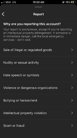 Instagram mobile example: The Report account reasons options presented