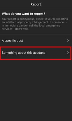 Instagram mobile example: The Report options presented