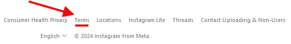 Instagram website footer with Terms link highlighted