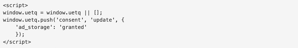 Microsoft Advertising: Setting up UET for consent mode help - Ad storage code 2