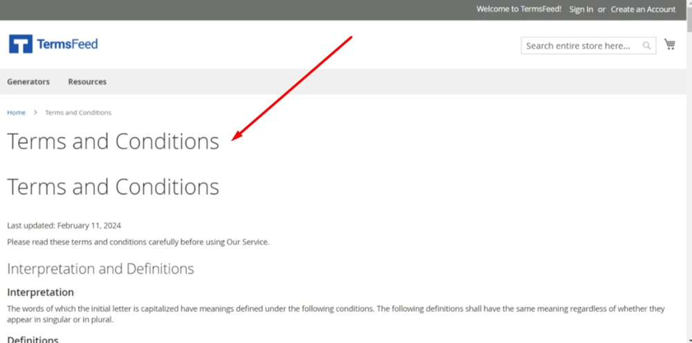 TermsFeed Magento 2 - Website - Terms and Conditions page displayed